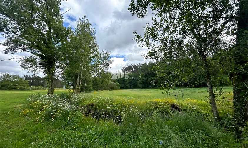Terreno para Venda em Arnoso (Santa Maria e Santa Eulália) e Sezures Foto 6