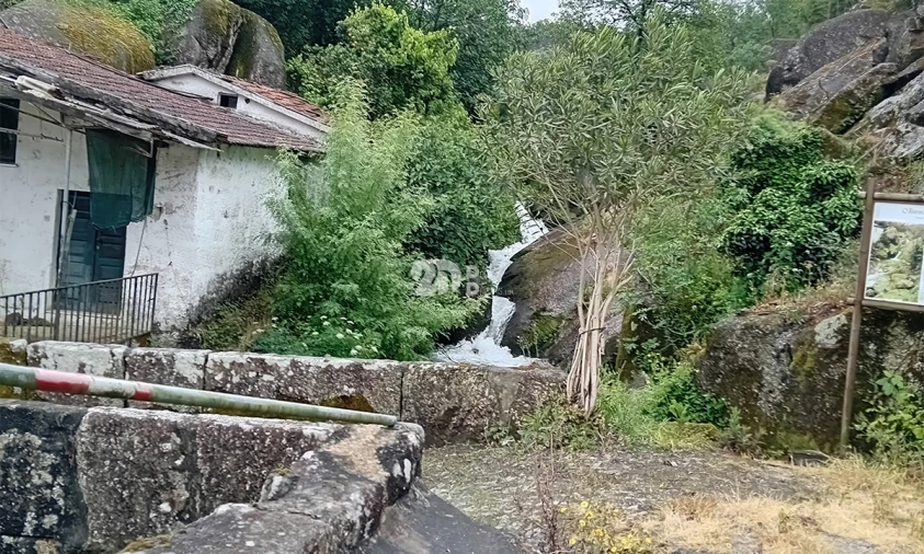 Terreno para Venda em Arnoso (Santa Maria e Santa Eulália) e Sezures Foto 9
