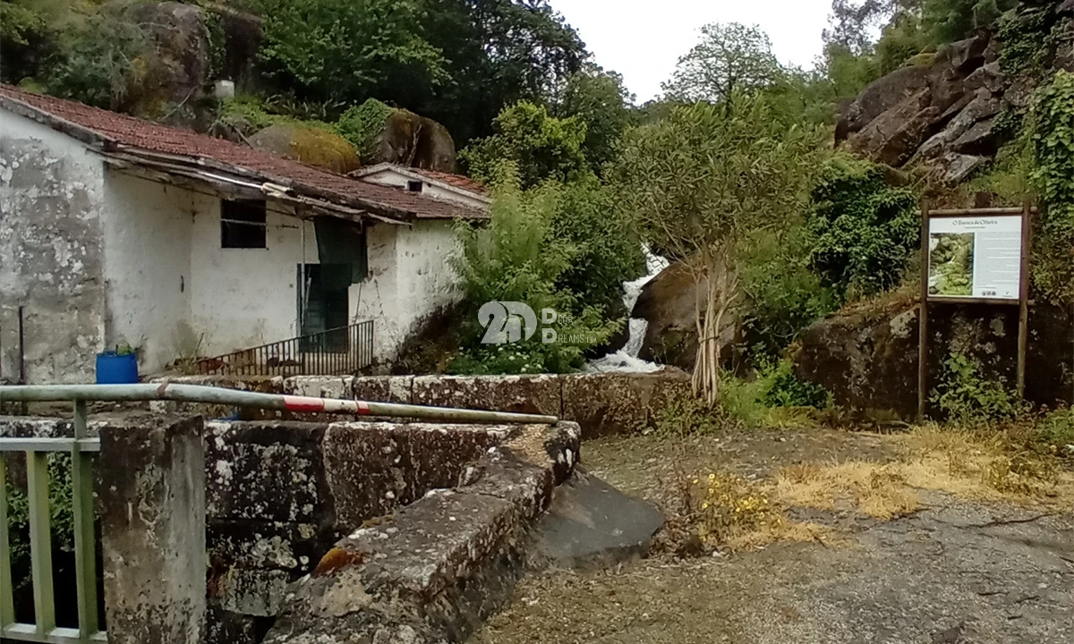 Terreno para Venda em Arnoso (Santa Maria e Santa Eulália) e Sezures Foto 7