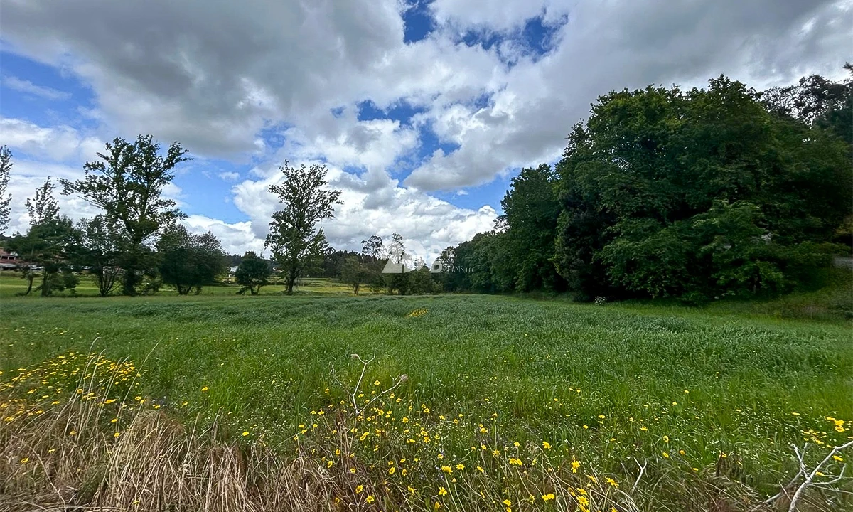 Terreno para Venda em Arnoso (Santa Maria e Santa Eulália) e Sezures Foto 1