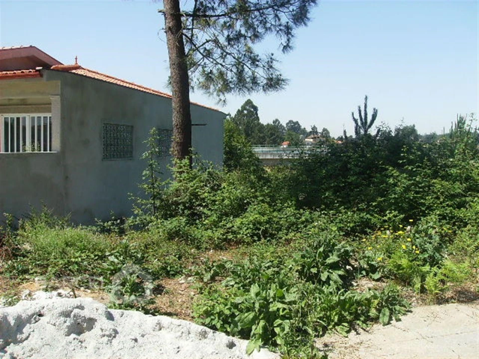 Terreno para Venda em Lama Foto 3