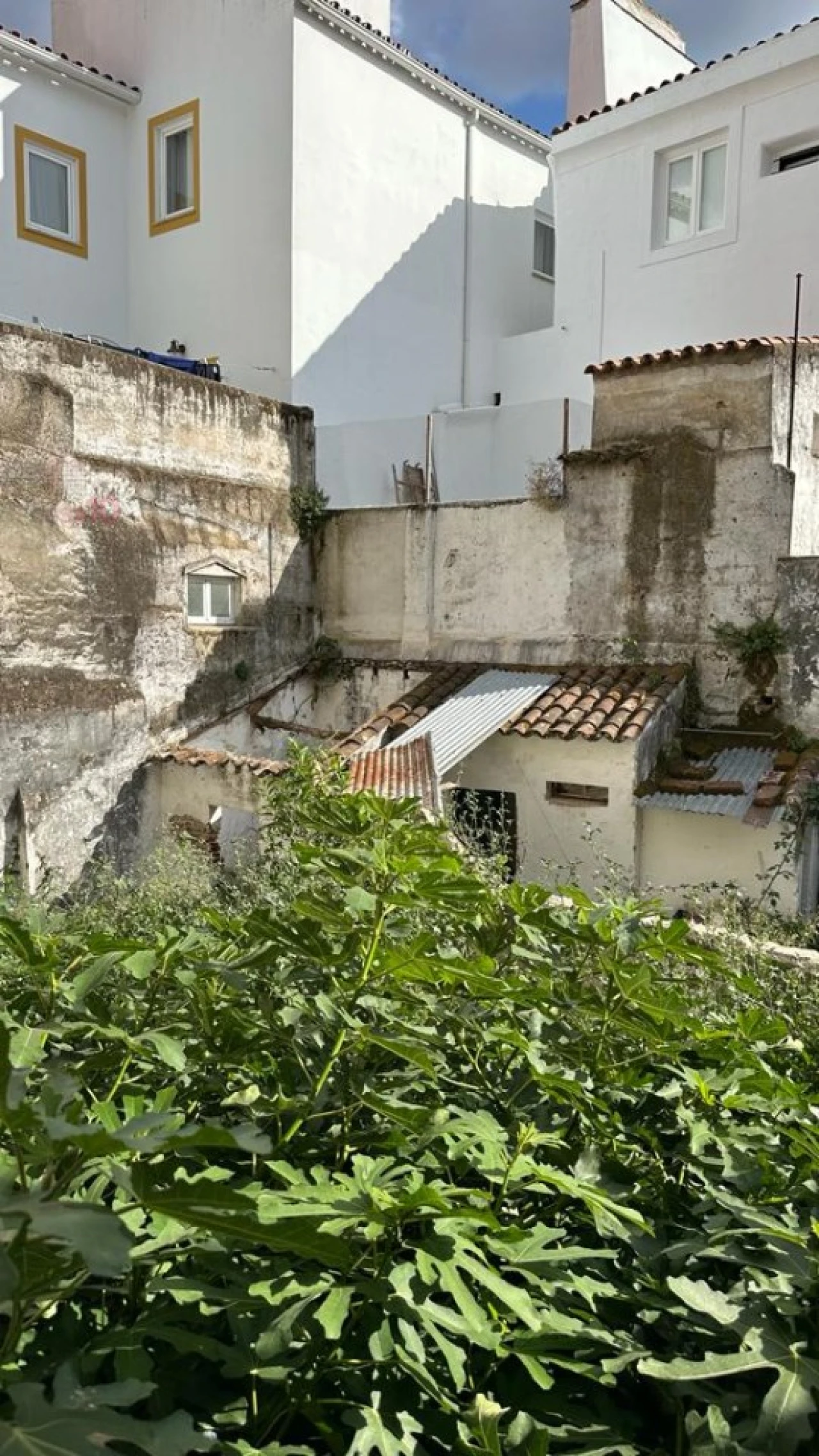 Prédio para Venda em Évora (São Mamede, Sé, São Pedro e Santo Antão) Foto 17