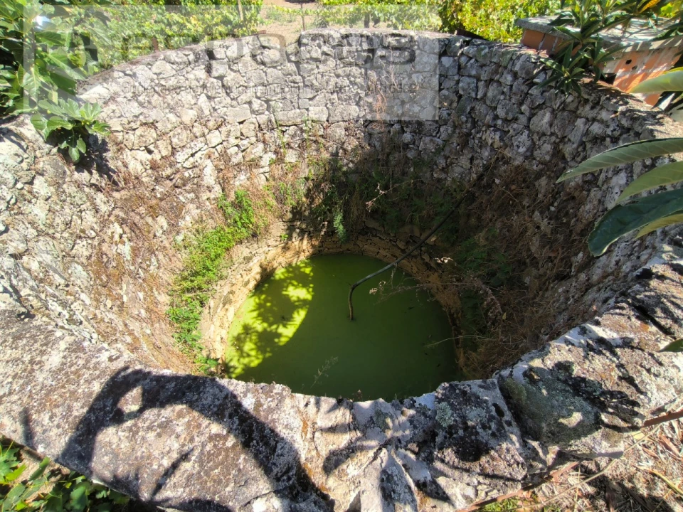 Quinta T2 para Venda em Escalos de Baixo e Mata Foto 29