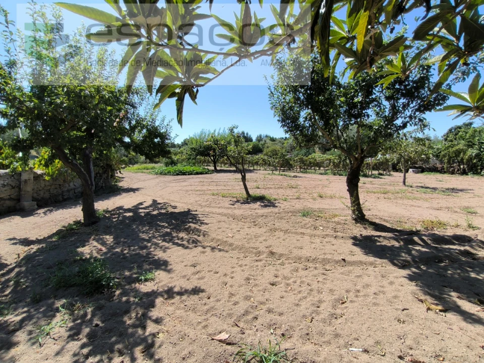 Quinta T2 para Venda em Escalos de Baixo e Mata Foto 28