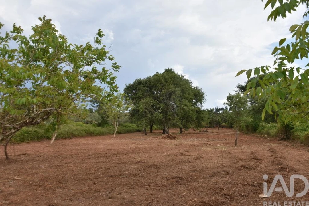 Terreno para Venda em Nossa Senhora do Pranto Foto 1