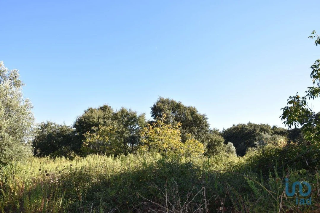 Terreno para Venda em Nossa Senhora do Pranto Foto 11