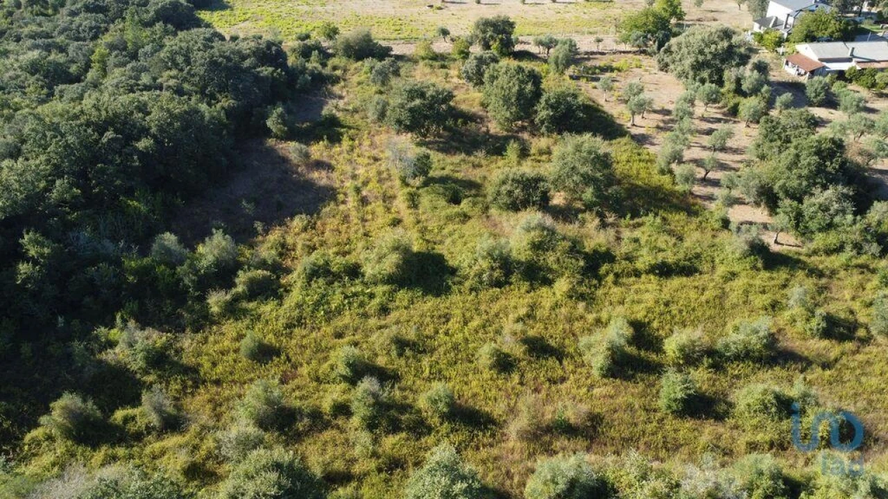 Terreno para Venda em Nossa Senhora do Pranto Foto 6