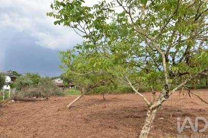 Terreno para Venda em Nossa Senhora do Pranto