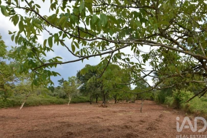 Terreno para Venda em Nossa Senhora do Pranto