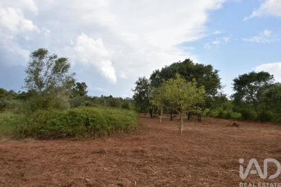 Terreno para Venda em Nossa Senhora do Pranto