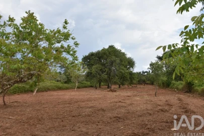 Terreno para Venda em Nossa Senhora do Pranto