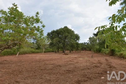 Terreno para Venda em Nossa Senhora do Pranto