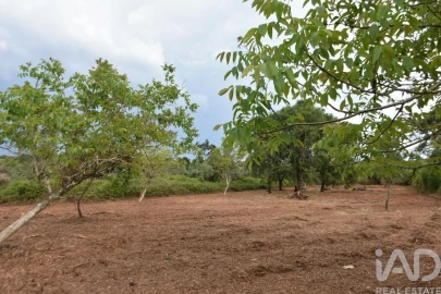 Terreno para Venda em Nossa Senhora do Pranto