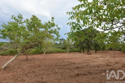 Terreno para Venda em Nossa Senhora do Pranto