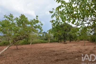 Terreno para Venda em Nossa Senhora do Pranto