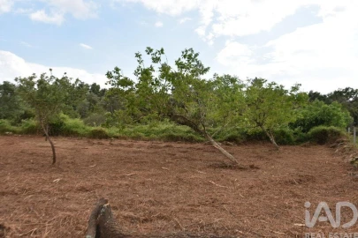 Terreno para Venda em Nossa Senhora do Pranto