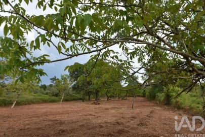 Terreno para Venda em Nossa Senhora do Pranto