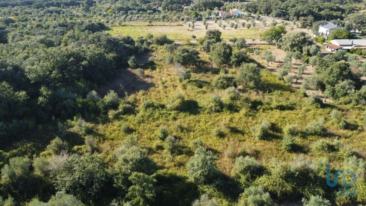 Terreno para Venda em Nossa Senhora do Pranto Foto 4