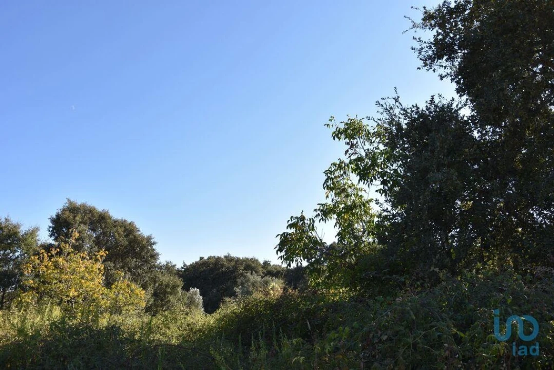 Terreno para Venda em Nossa Senhora do Pranto Foto 8