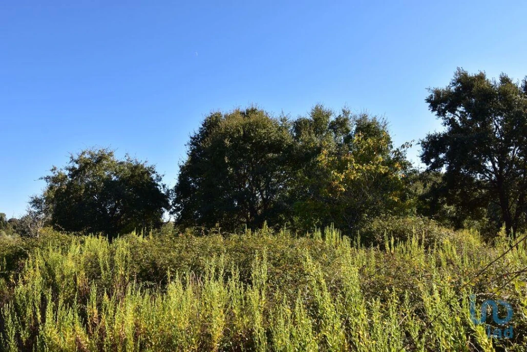 Terreno para Venda em Nossa Senhora do Pranto Foto 12
