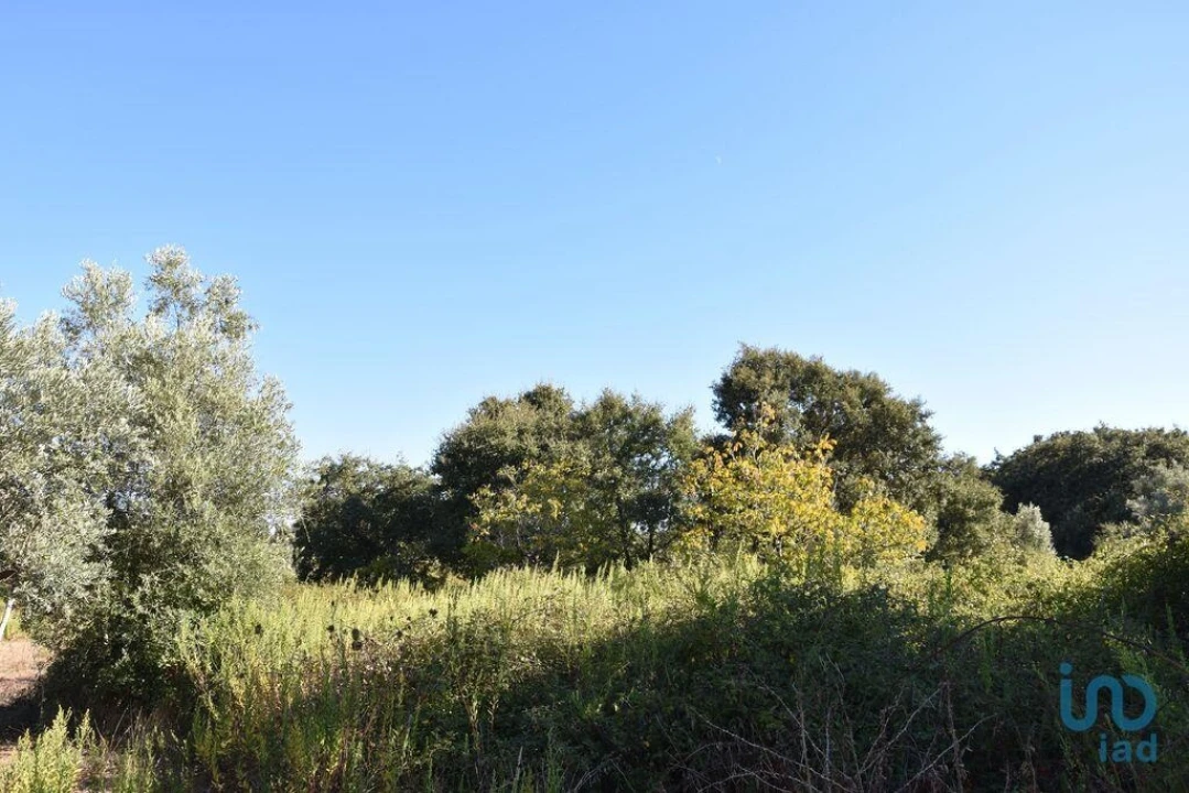 Terreno para Venda em Nossa Senhora do Pranto Foto 10