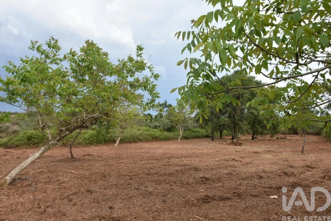 Terreno para Venda em Nossa Senhora do Pranto Foto 26