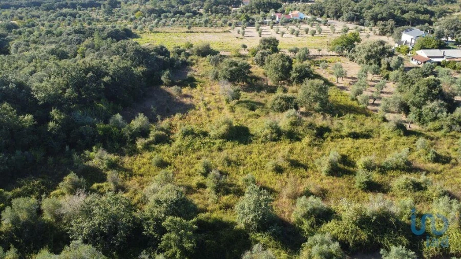 Terreno para Venda em Nossa Senhora do Pranto Foto 4
