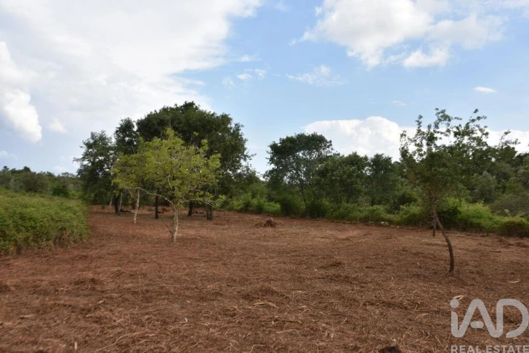 Terreno para Venda em Nossa Senhora do Pranto Foto 14