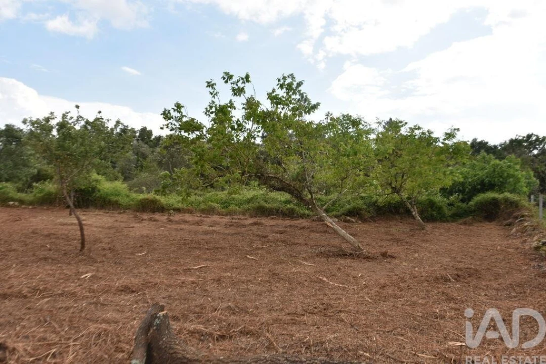 Terreno para Venda em Nossa Senhora do Pranto Foto 15