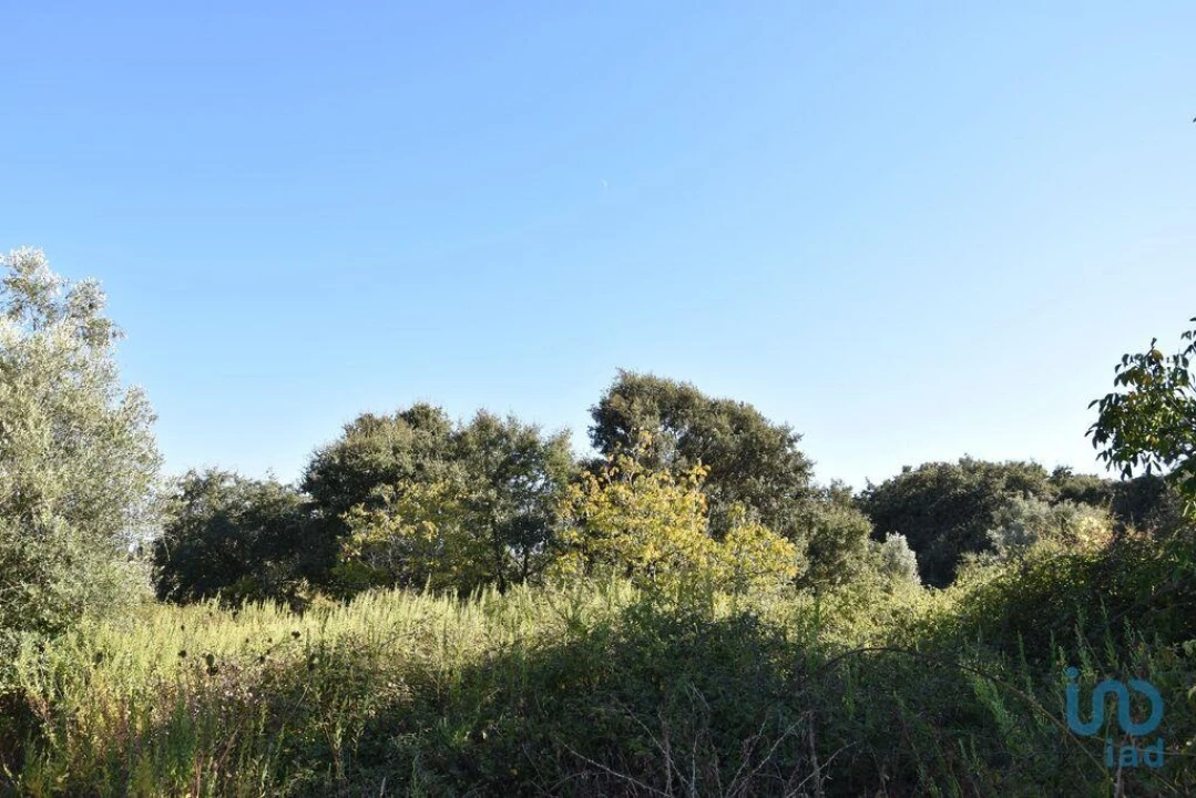 Terreno para Venda em Nossa Senhora do Pranto Foto 7