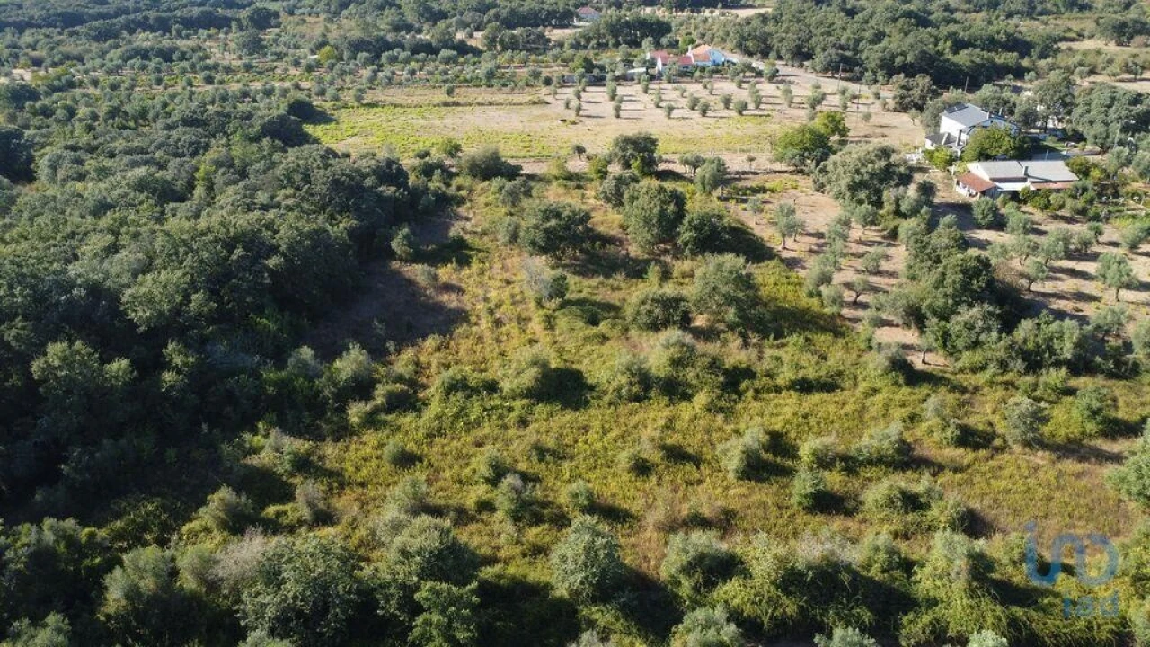 Terreno para Venda em Nossa Senhora do Pranto Foto 5