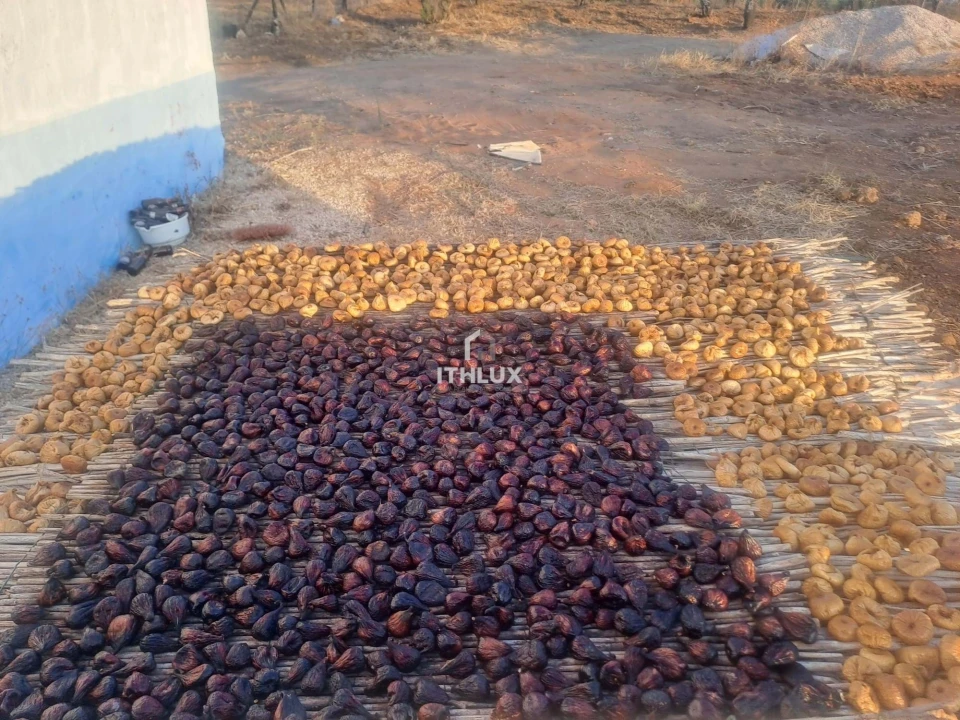 Terreno para Venda em Silves Foto 4