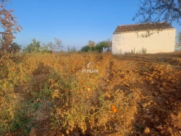 Terreno para Venda em Silves