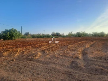 Terreno para Venda em Silves