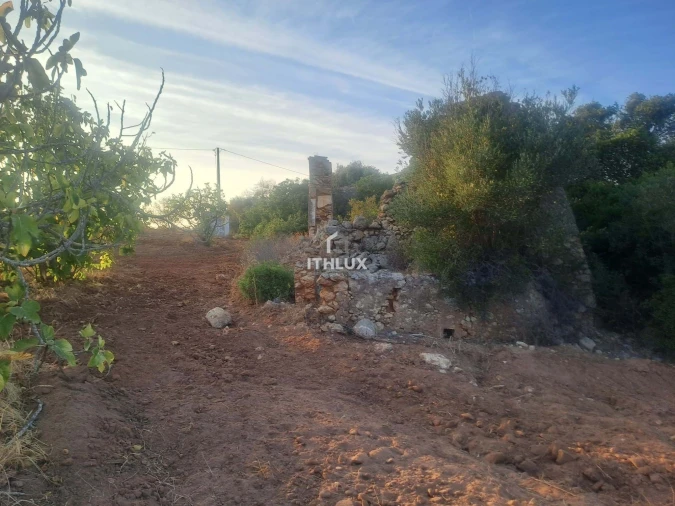 Terreno para Venda em Silves Foto 10