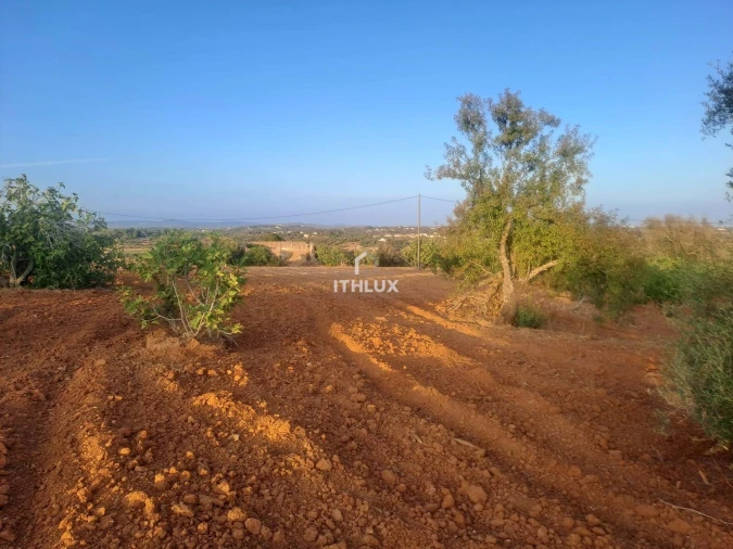 Terreno para Venda em Silves Foto 6