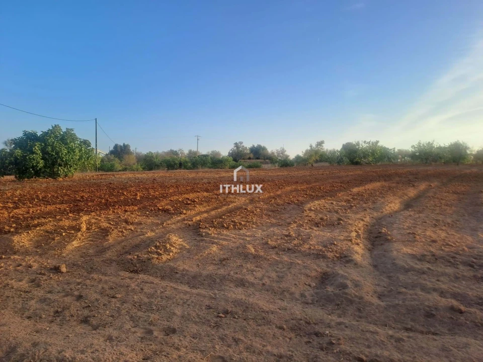 Terreno para Venda em Silves Foto 7