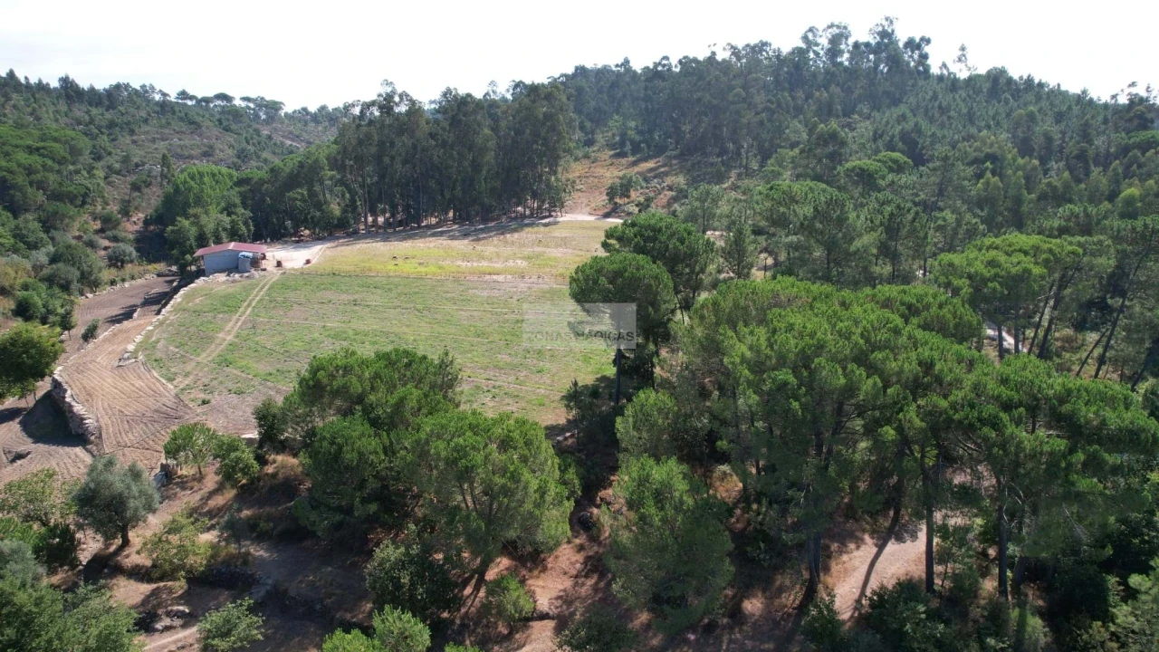 Terreno para Venda em Beijos Foto 2