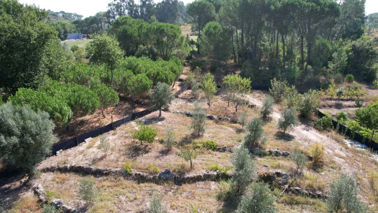 Terreno para Venda em Beijos Foto 3