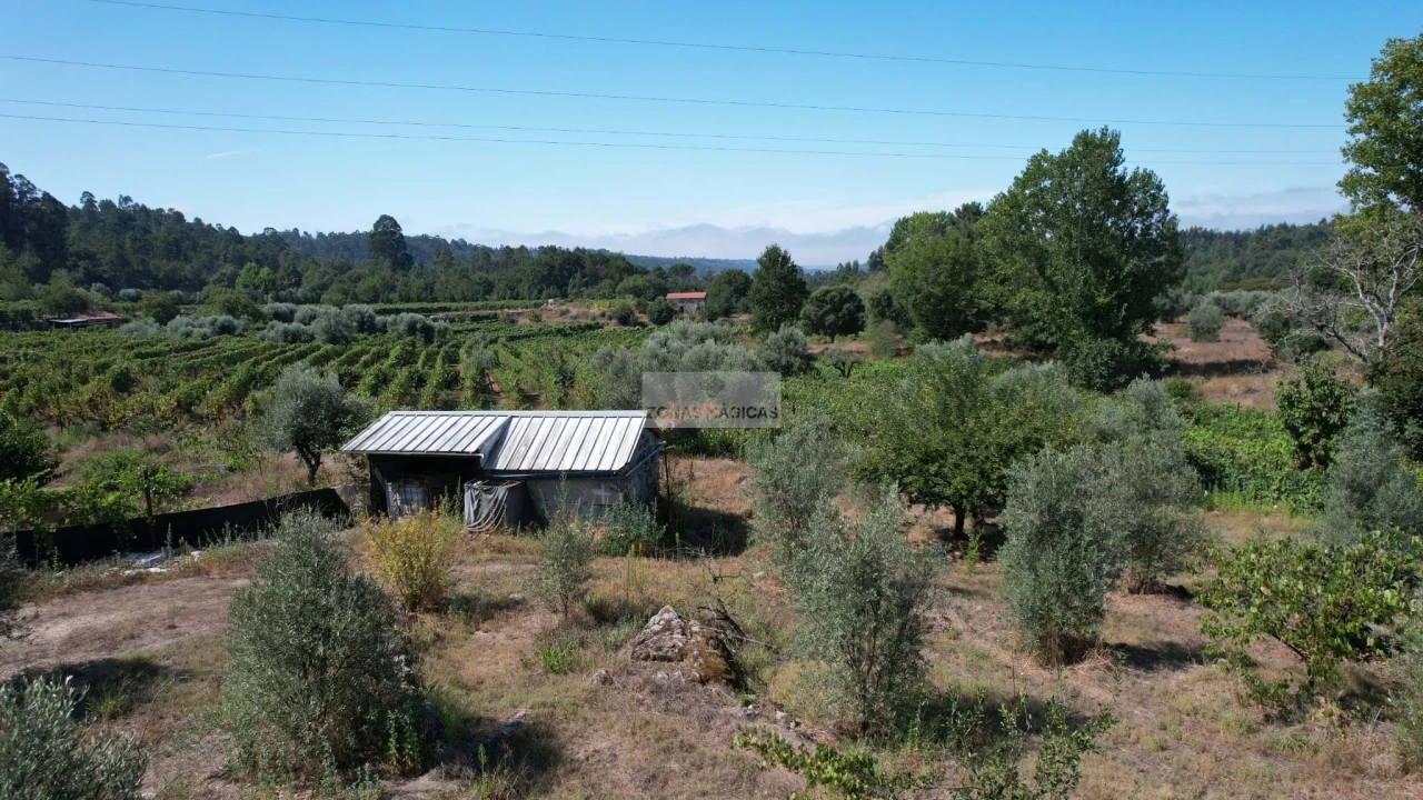 Terreno para Venda em Beijos Foto 1