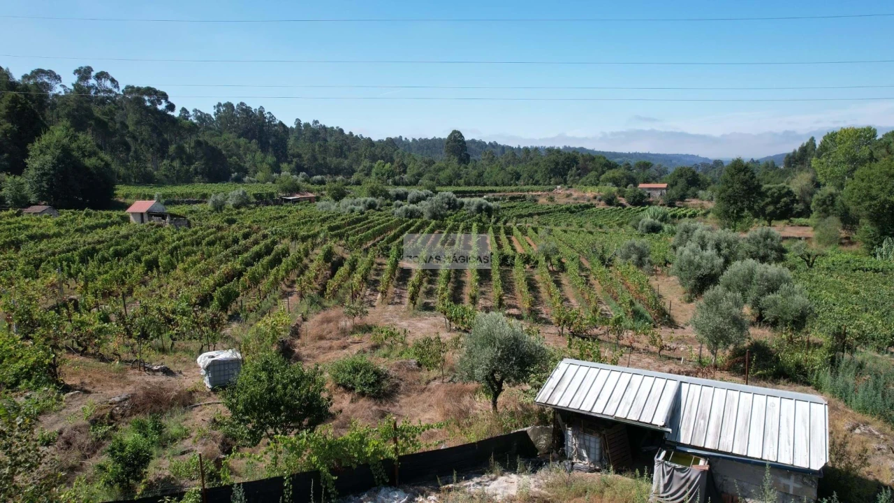 Terreno para Venda em Beijos Foto 7