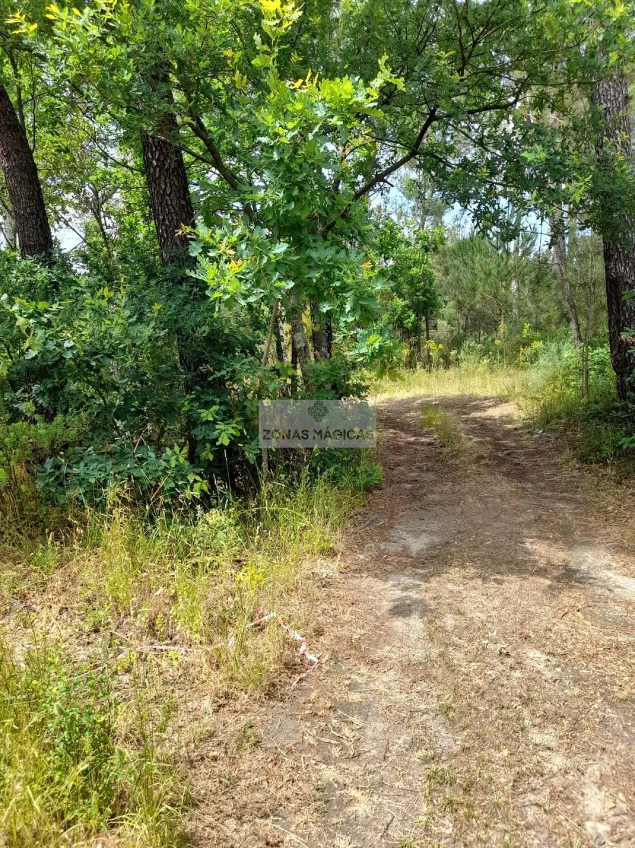 Terreno para Venda em Beijos Foto 12