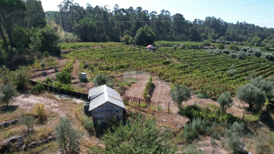 Terreno para Venda em Beijos Foto 4