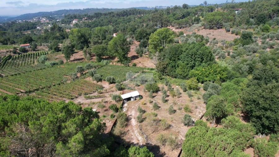 Terreno para Venda em Beijos Foto 11