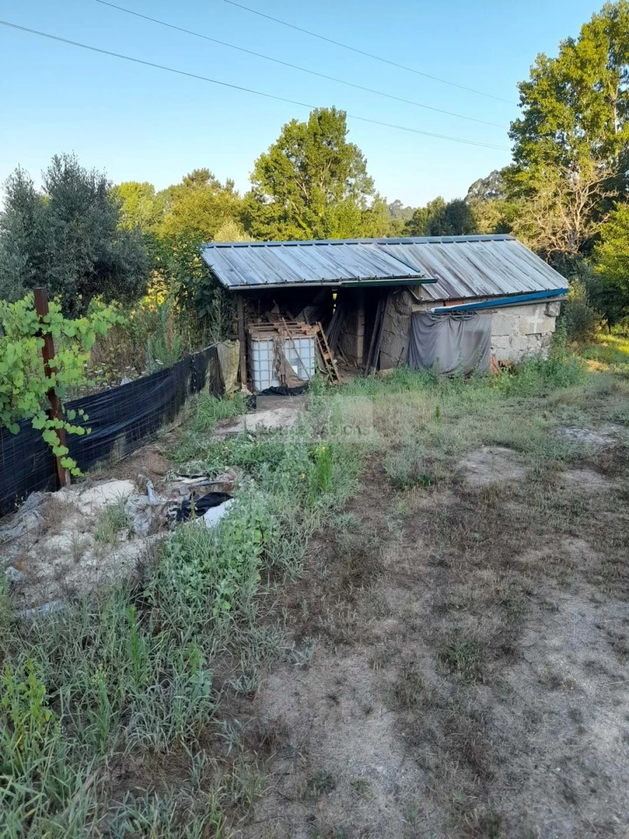 Terreno para Venda em Beijos Foto 13