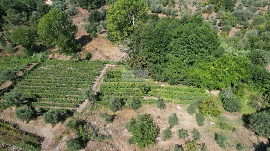 Terreno para Venda em Beijos Foto 10