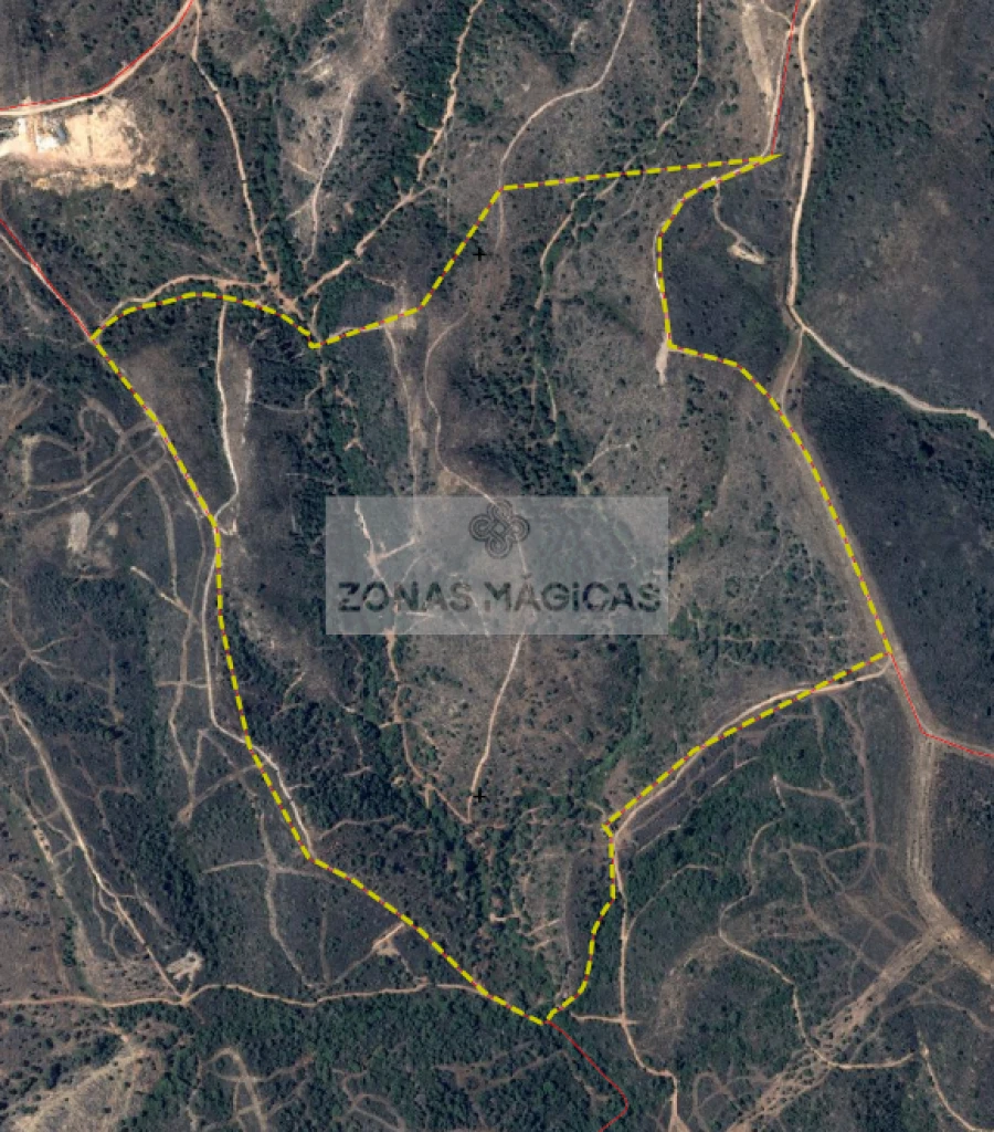 Terreno para Venda em Barão de São Miguel Foto 2