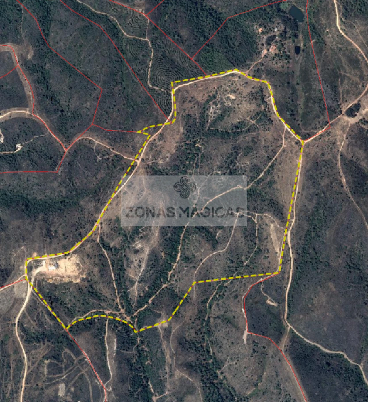 Terreno para Venda em Barão de São Miguel Foto 3