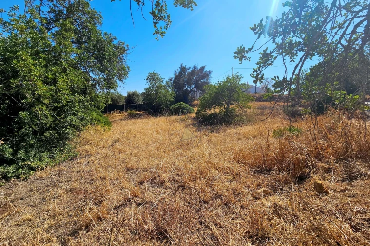 Terreno para Venda em Albufeira e Olhos de Água Foto 9