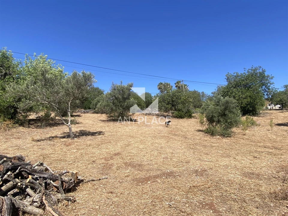 Quinta T4 para Venda em Loule (São Sebastião) Foto 25